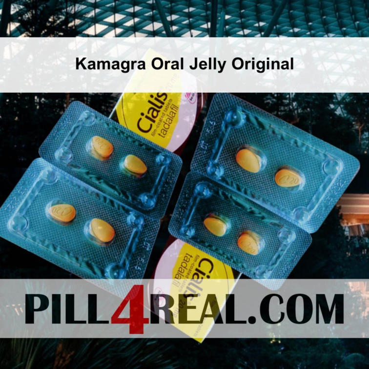 Kamagra Oral Jelly Original 320