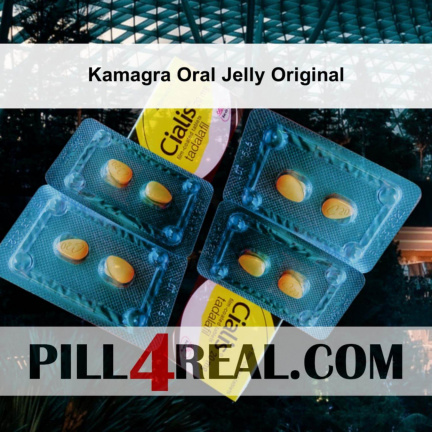 Kamagra Oral Jelly Original 320