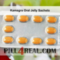 Kamagra Oral Jelly Sachets 412