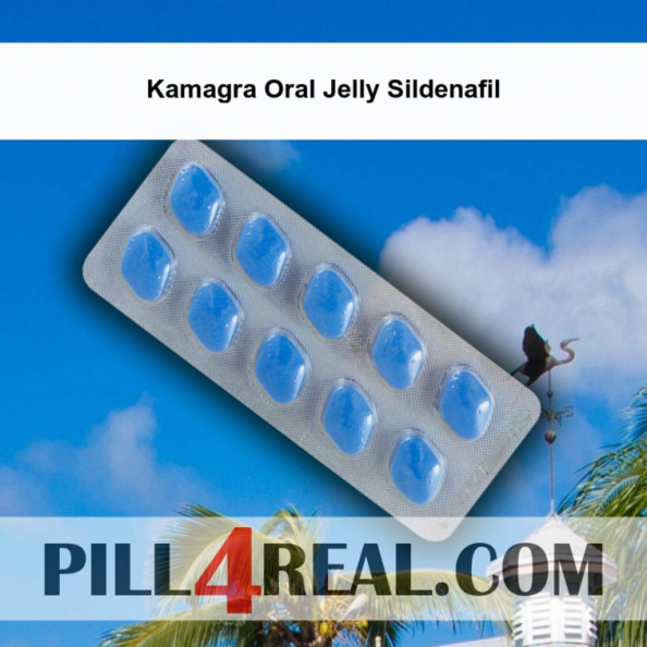 Kamagra Oral Jelly Sildenafil 004