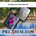 Kamagra Oral Jelly Sildenafil 088