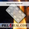 Kamagra Oral Jelly Sildenafil 162