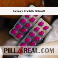 Kamagra Oral Jelly Sildenafil 179