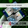 Kamagra Oral Jelly Sildenafil 180