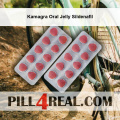 Kamagra Oral Jelly Sildenafil 738