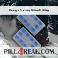 Kamagra Oral Jelly Sildenafil 100Mg 101