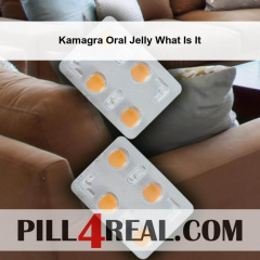 Kamagra Oral Jelly What Is It 034
