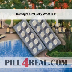 Kamagra Oral Jelly What Is It 048