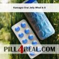 Kamagra Oral Jelly What Is It 092