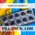 Kamagra Oral Jelly What Is It 133