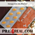 Kamagra Oral Jelly What Is It 171