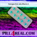 Kamagra Oral Jelly What Is It 249