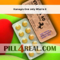 Kamagra Oral Jelly What Is It 304