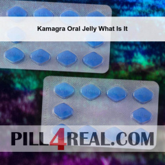Kamagra Oral Jelly What Is It 383