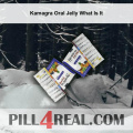 Kamagra Oral Jelly What Is It 386