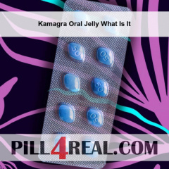 Kamagra Oral Jelly What Is It 447