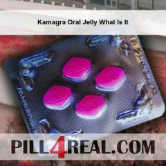 Kamagra Oral Jelly What Is It 473