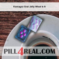 Kamagra Oral Jelly What Is It 508