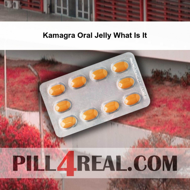 Kamagra Oral Jelly What Is It 654