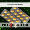 Kamagra Oral Jelly What Is It 750