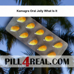 Kamagra Oral Jelly What Is It 766