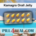 Kamagra Orall Jelly 256