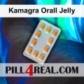Kamagra Orall Jelly 264