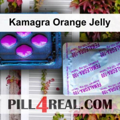 Kamagra Orange Jelly 277