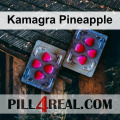 Kamagra Pineapple 006