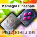 Kamagra Pineapple 022