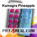 Kamagra Pineapple 052