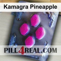 Kamagra Pineapple 097