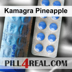 Kamagra Pineapple 109