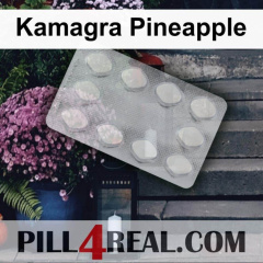 Kamagra Pineapple 125