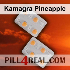 Kamagra Pineapple 143