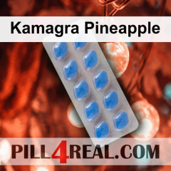 Kamagra Pineapple 148