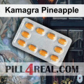 Kamagra Pineapple 231