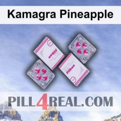 Kamagra Pineapple 256