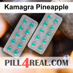 Kamagra Pineapple 272