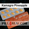 Kamagra Pineapple 346
