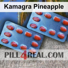 Kamagra Pineapple 456