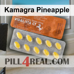 Kamagra Pineapple 530