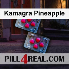 Kamagra Pineapple 540