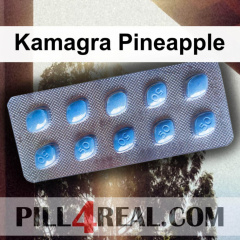 Kamagra Pineapple 558