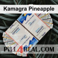 Kamagra Pineapple 573