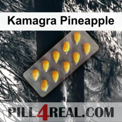 Kamagra Pineapple 607