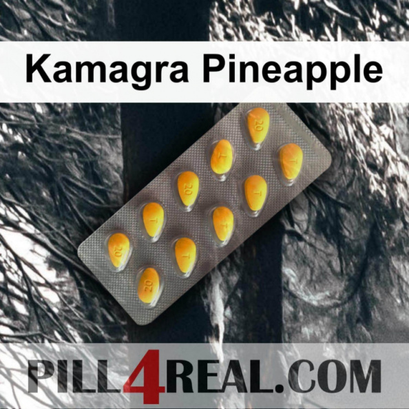 Kamagra Pineapple 607