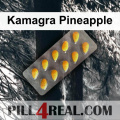 Kamagra Pineapple 607