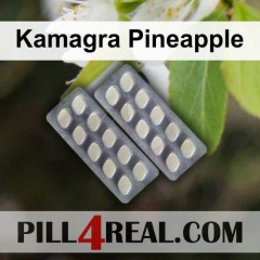Kamagra Pineapple 733