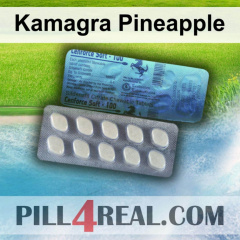 Kamagra Pineapple 990